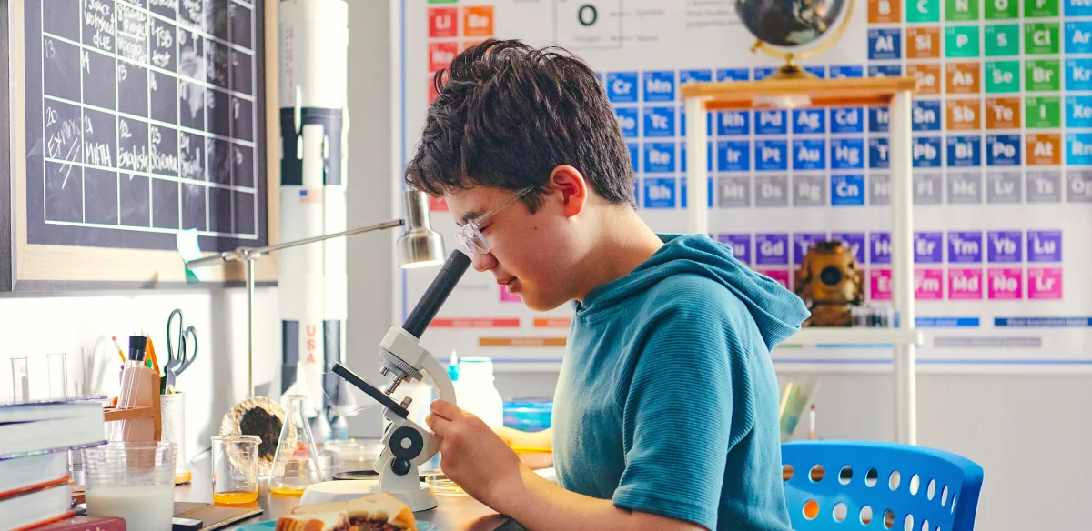 boy looking something in the microscopy
